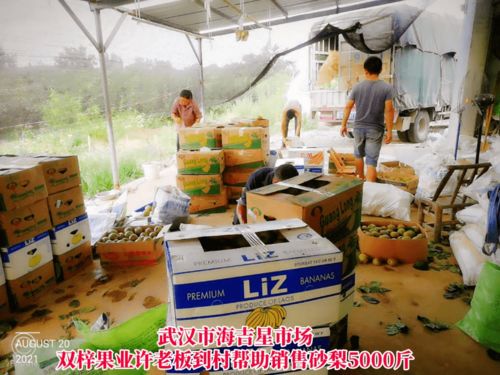 線上線下齊發(fā)力，石橋驛鎮(zhèn)為滯銷(xiāo)農(nóng)產(chǎn)品打開(kāi)新銷(xiāo)路